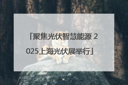 聚焦光伏智慧能源 2025上海光伏展举行