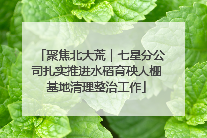 聚焦北大荒｜七星分公司扎实推进水稻育秧大棚基地清理整治工作