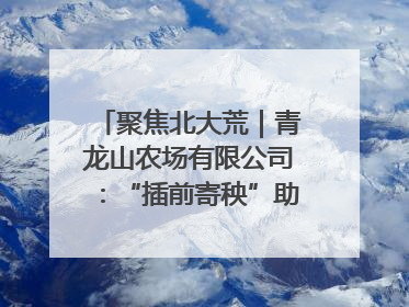 聚焦北大荒｜青龙山农场有限公司：“插前寄秧”助力农业节本增效