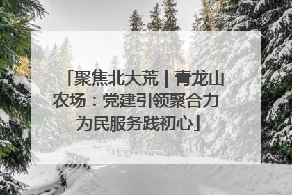 聚焦北大荒｜青龙山农场：党建引领聚合力 为民服务践初心
