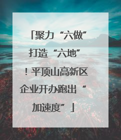 聚力“六做” 打造“六地”！平顶山高新区企业开办跑出“加速度”