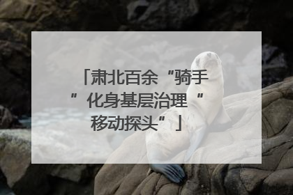 肃北百余“骑手”化身基层治理“移动探头”