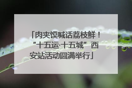 肉夹馍喊话荔枝鲜！“十五运·十五城”西安站活动圆满举行