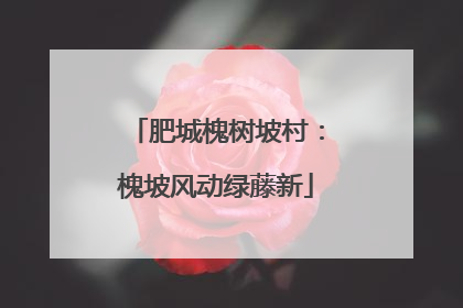 肥城槐树坡村：槐坡风动绿藤新