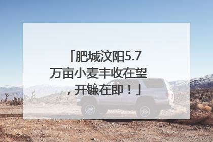 肥城汶阳5.7万亩小麦丰收在望，开镰在即！