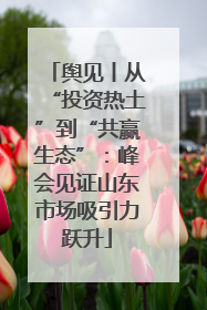 舆见丨从“投资热土”到“共赢生态”：峰会见证山东市场吸引力跃升