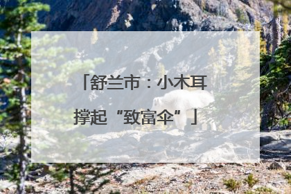 舒兰市：小木耳撑起“致富伞”