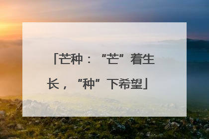 芒种：“芒”着生长，“种”下希望