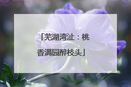 芜湖湾沚：桃香满园醉枝头