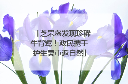 芝罘岛发现珍稀牛背鹭！政民携手护生灵重返自然