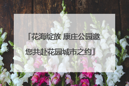 花海绽放 康庄公园邀您共赴花园城市之约