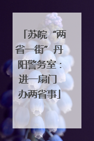 苏皖“两省一街”丹阳警务室：进一扇门 办两省事