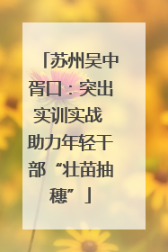 苏州吴中胥口：突出实训实战 助力年轻干部“壮苗抽穗”