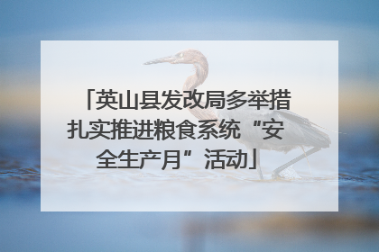 英山县发改局多举措扎实推进粮食系统“安全生产月”活动