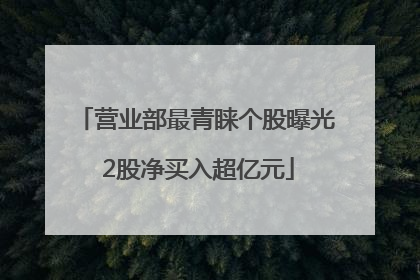 营业部最青睐个股曝光 2股净买入超亿元