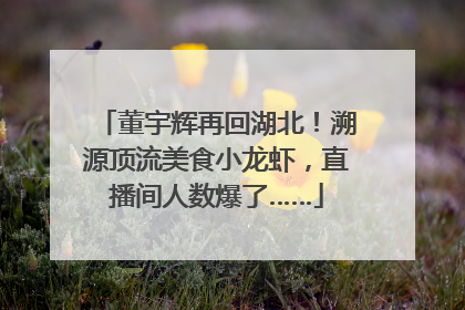董宇辉再回湖北！溯源顶流美食小龙虾，直播间人数爆了……
