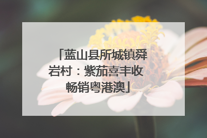 蓝山县所城镇舜岩村：紫茄喜丰收 畅销粤港澳
