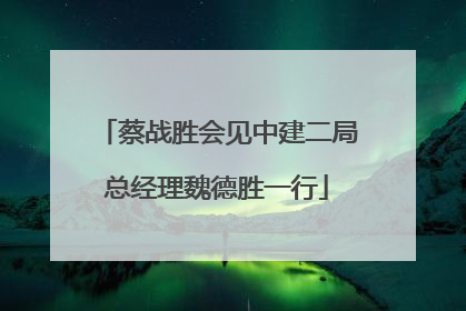 蔡战胜会见中建二局总经理魏德胜一行