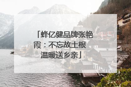 蜂亿健品牌张艳霞：不忘故土根 温暖送乡亲