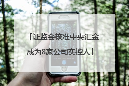 证监会核准中央汇金成为8家公司实控人