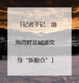 记者手记：渤海湾畔盐碱滩变身“新粮仓”