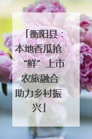 衡阳县：本地香瓜抢“鲜”上市 农旅融合助力乡村振兴