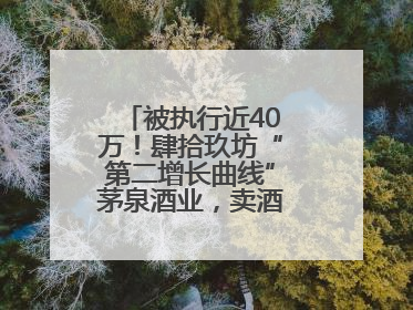 被执行近40万！肆拾玖坊“第二增长曲线”茅泉酒业，卖酒还是卖模式？