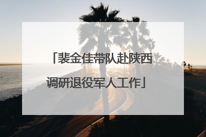 裴金佳带队赴陕西调研退役军人工作