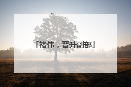 褚伟，晋升副部