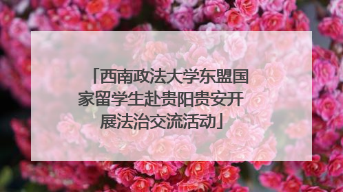 西南政法大学东盟国家留学生赴贵阳贵安开展法治交流活动
