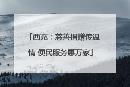 西充：慈善捐赠传温情 便民服务惠万家