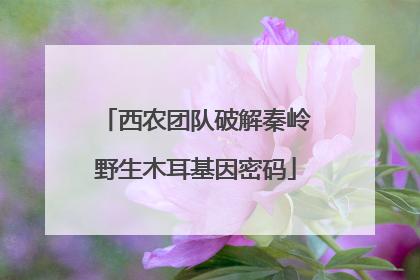西农团队破解秦岭野生木耳基因密码