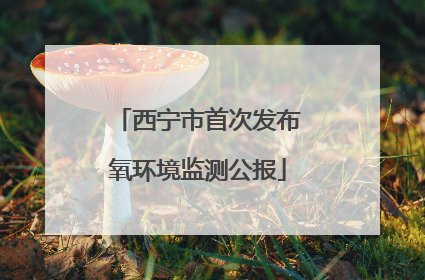 西宁市首次发布氧环境监测公报