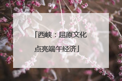 西峡：屈原文化点亮端午经济