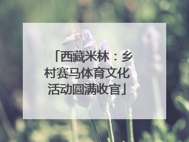 西藏米林：乡村赛马体育文化活动圆满收官