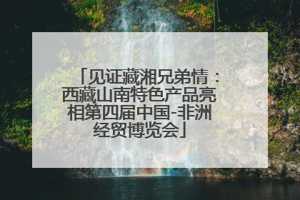 见证藏湘兄弟情：西藏山南特色产品亮相第四届中国-非洲经贸博览会