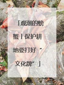 观潮的螃蟹丨保护耕地要打好“文化牌”
