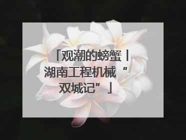 观潮的螃蟹丨湖南工程机械“双城记”