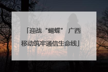 迎战“蝴蝶” 广西移动筑牢通信生命线
