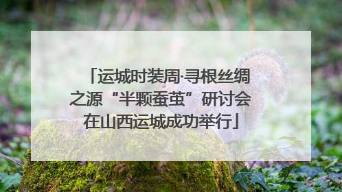 运城时装周·寻根丝绸之源“半颗蚕茧”研讨会在山西运城成功举行