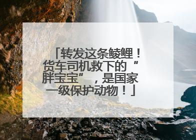 转发这条鲮鲤！货车司机救下的“胖宝宝”，是国家一级保护动物！