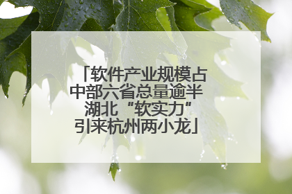 软件产业规模占中部六省总量逾半 湖北“软实力”引来杭州两小龙