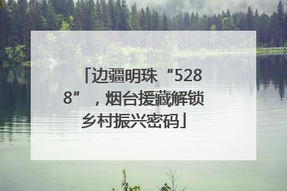 边疆明珠“5288”，烟台援藏解锁乡村振兴密码