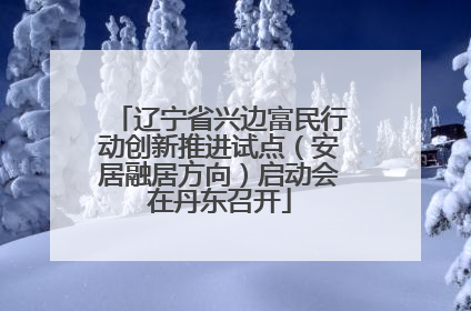 辽宁省兴边富民行动创新推进试点（安居融居方向）启动会在丹东召开
