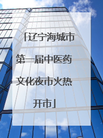 辽宁海城市第一届中医药文化夜市火热开市