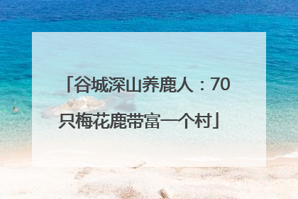 谷城深山养鹿人：70只梅花鹿带富一个村