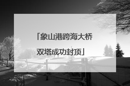 象山港跨海大桥双塔成功封顶