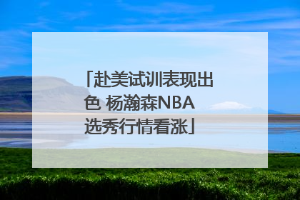 赴美试训表现出色 杨瀚森NBA选秀行情看涨
