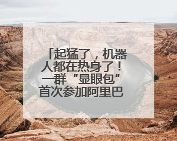 起猛了，机器人都在热身了！一群“显眼包”首次参加阿里巴巴运动会