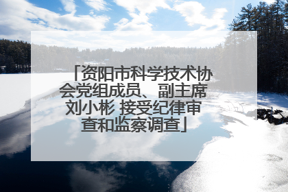 资阳市科学技术协会党组成员、副主席刘小彬 接受纪律审查和监察调查
